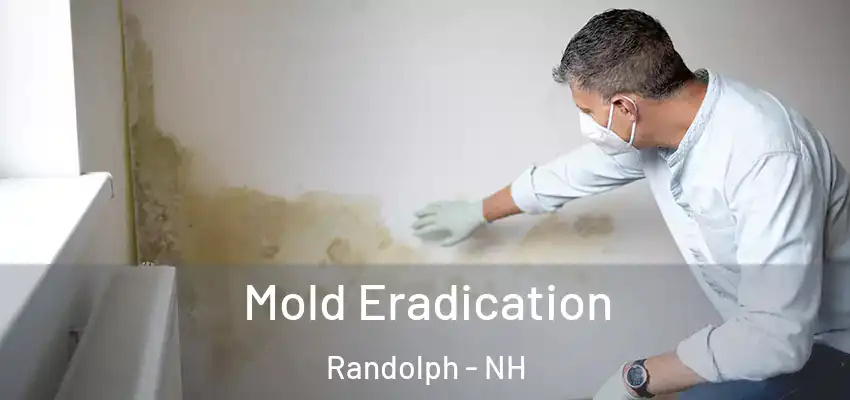 Mold Eradication Randolph - NH