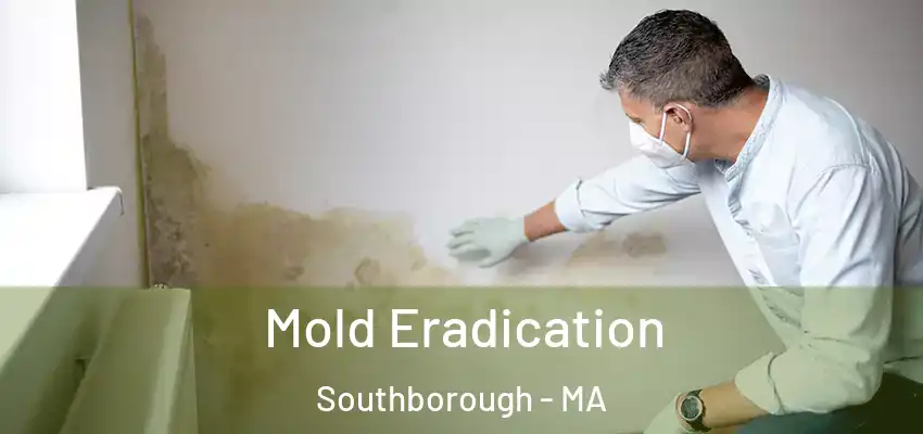 Mold Eradication Southborough - MA