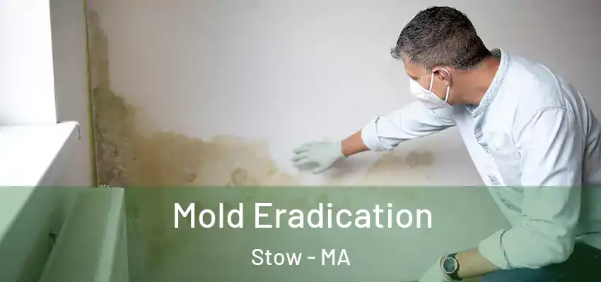 Mold Eradication Stow - MA