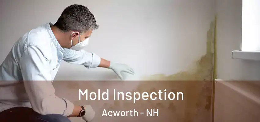  Mold Inspection Acworth - NH