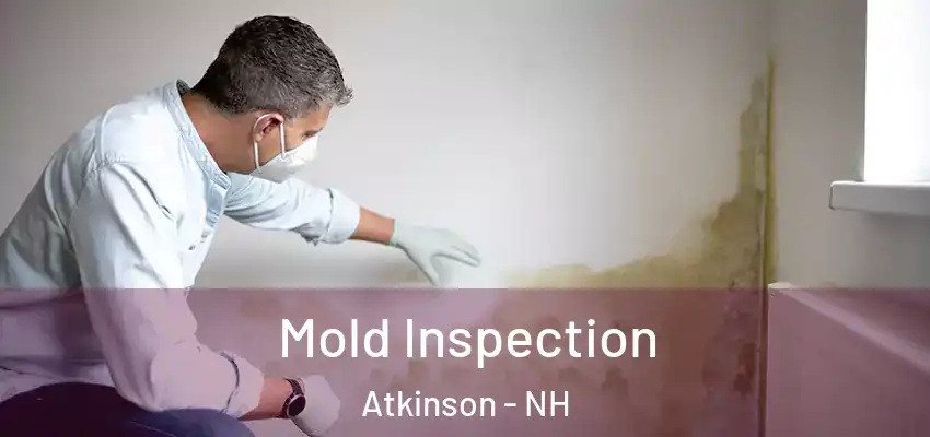 Mold Inspection Atkinson - NH