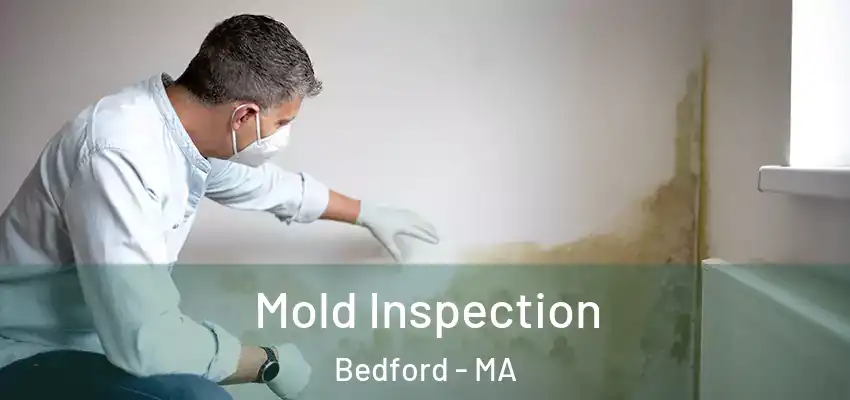 Mold Inspection Bedford - MA