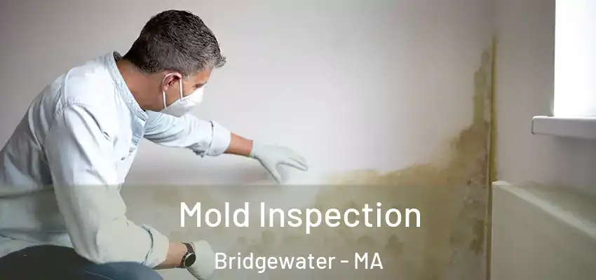 Mold Inspection Bridgewater - MA