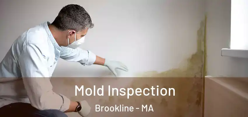 Mold Inspection Brookline - MA