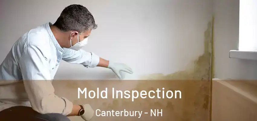  Mold Inspection Canterbury - NH