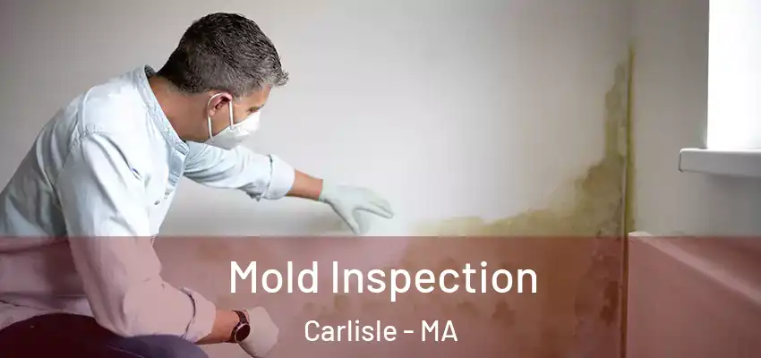  Mold Inspection Carlisle - MA