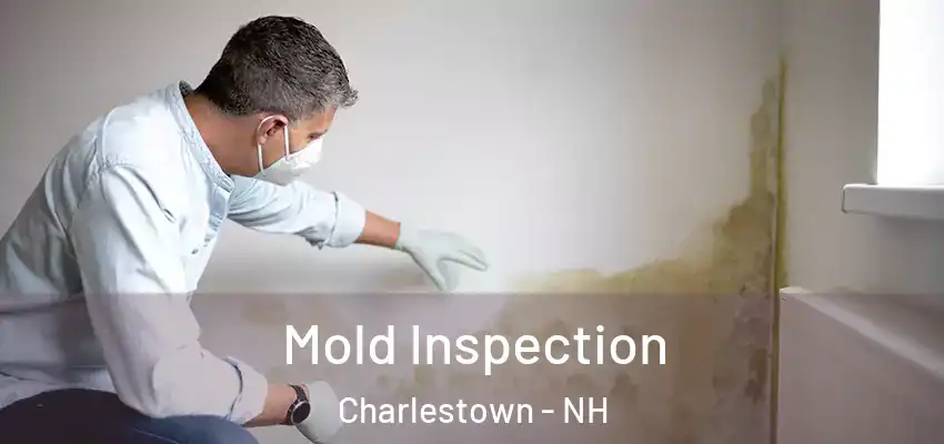  Mold Inspection Charlestown - NH