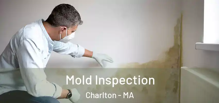  Mold Inspection Charlton - MA