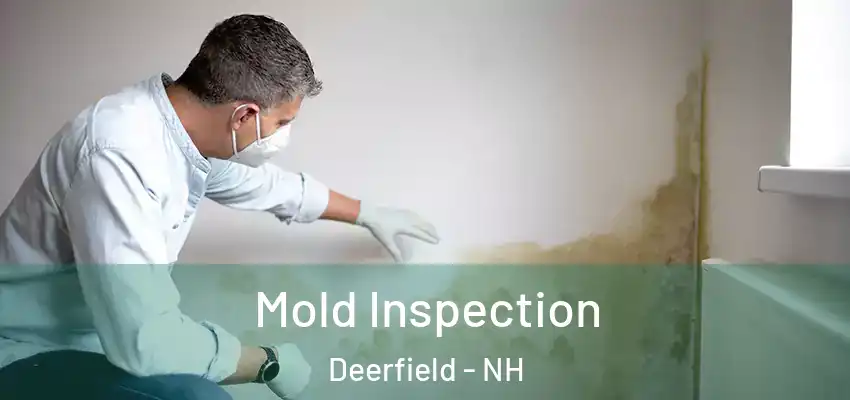 Mold Inspection Deerfield - NH