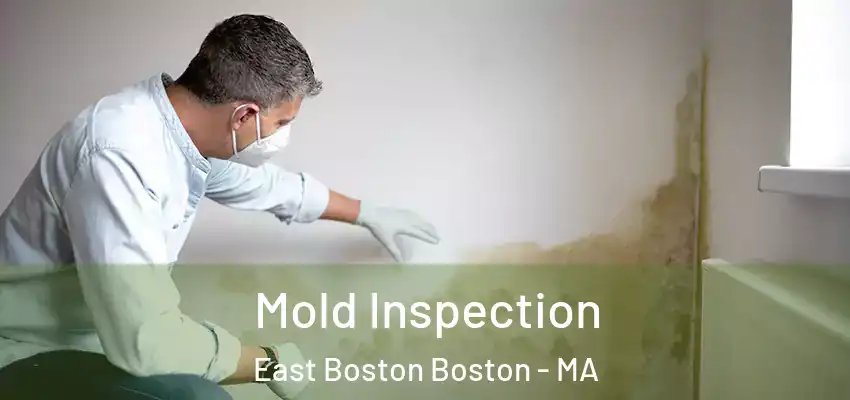 Mold Inspection East Boston Boston - MA