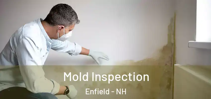  Mold Inspection Enfield - NH