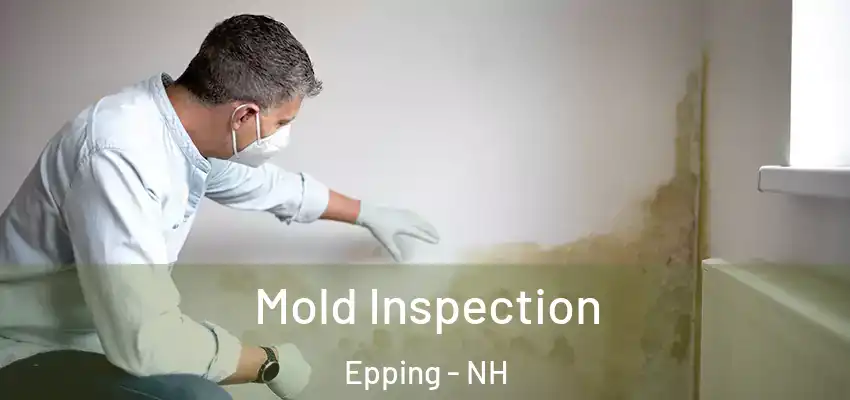 Mold Inspection Epping - NH
