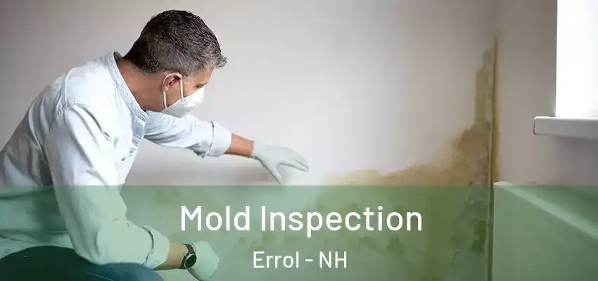Mold Inspection Errol - NH