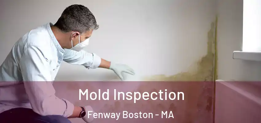  Mold Inspection Fenway Boston - MA