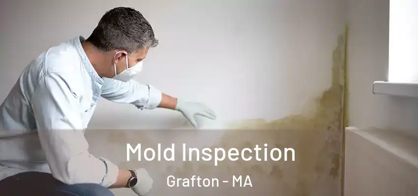 Mold Inspection Grafton - MA