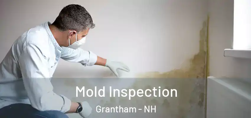 Mold Inspection Grantham - NH