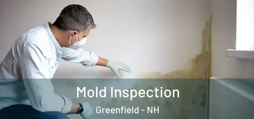 Mold Inspection Greenfield - NH