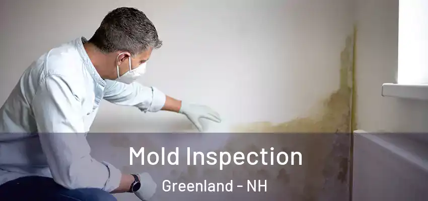 Mold Inspection Greenland - NH
