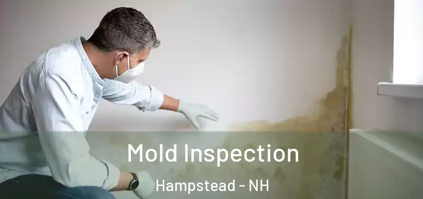 Mold Inspection Hampstead - NH