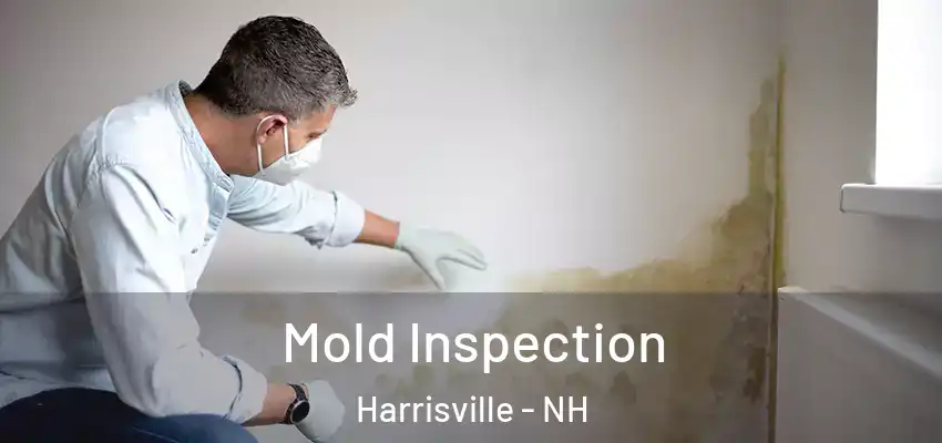 Mold Inspection Harrisville - NH