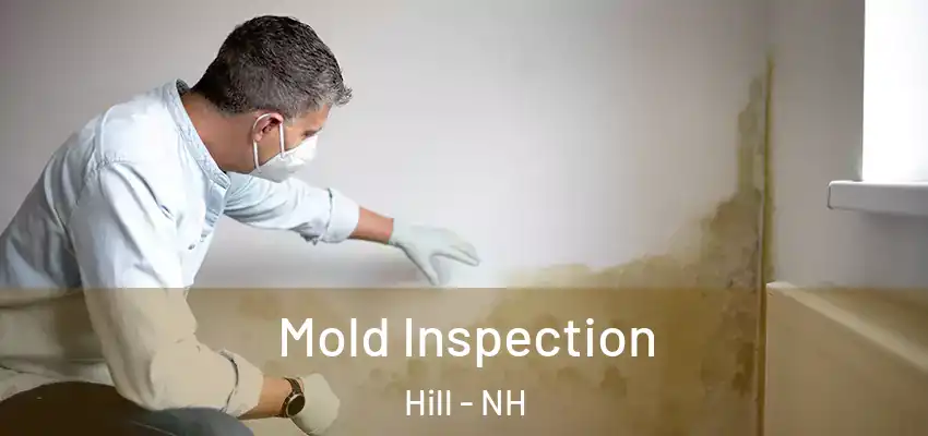 Mold Inspection Hill - NH