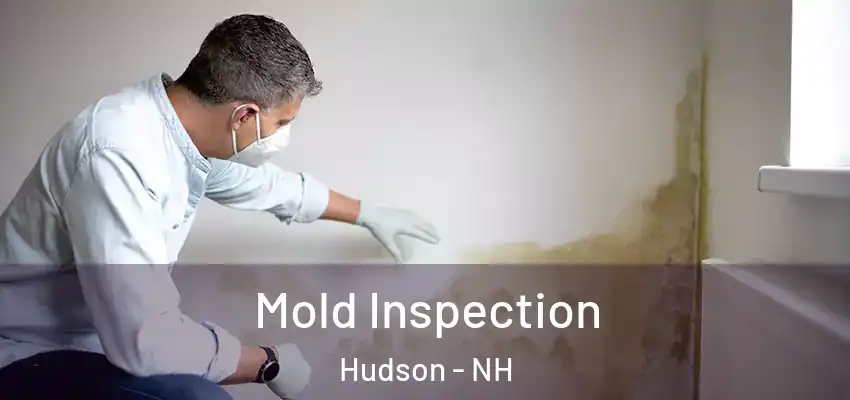 Mold Inspection Hudson - NH