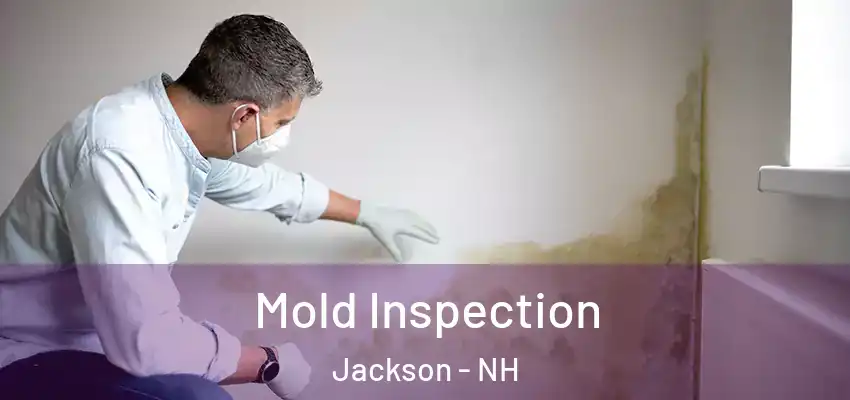  Mold Inspection Jackson - NH