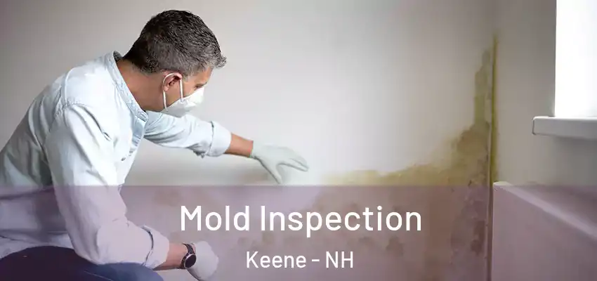 Mold Inspection Keene - NH