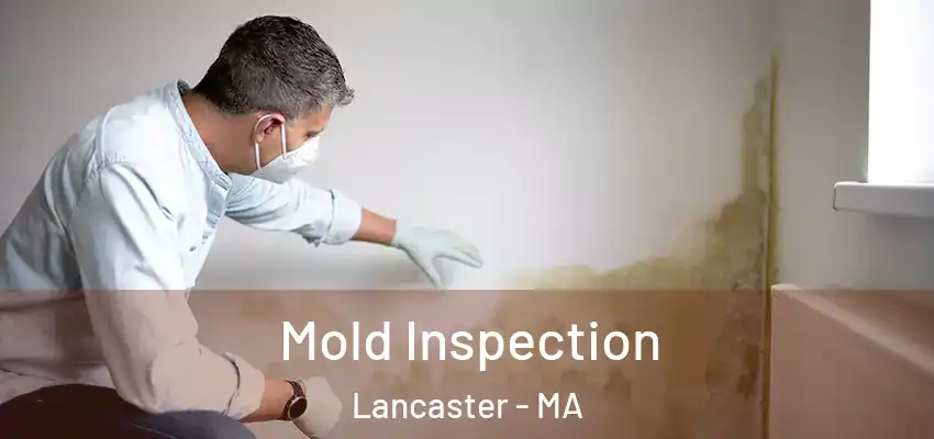 Mold Inspection Lancaster - MA