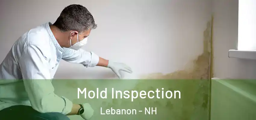  Mold Inspection Lebanon - NH