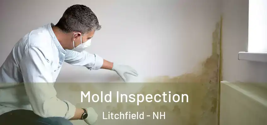 Mold Inspection Litchfield - NH