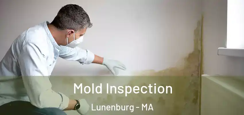 Mold Inspection Lunenburg - MA