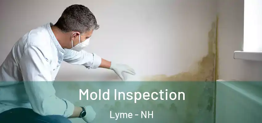  Mold Inspection Lyme - NH