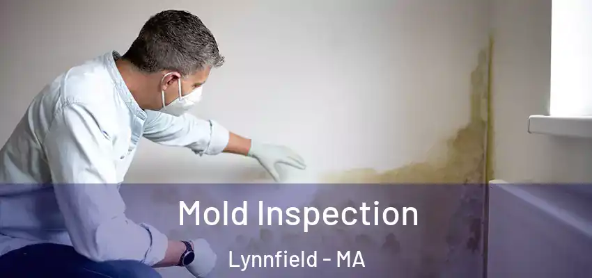 Mold Inspection Lynnfield - MA