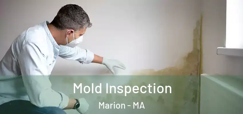 Mold Inspection Marion - MA