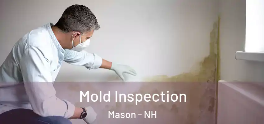 Mold Inspection Mason - NH