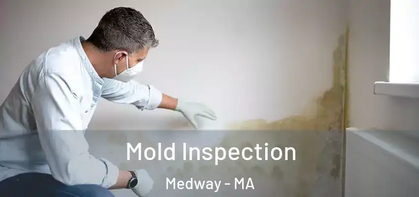 Mold Inspection Medway - MA