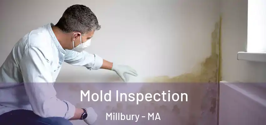 Mold Inspection Millbury - MA
