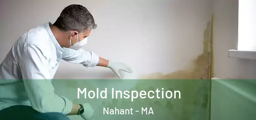 Mold Inspection Nahant - MA