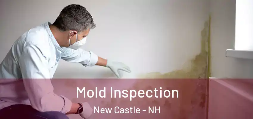  Mold Inspection New Castle - NH