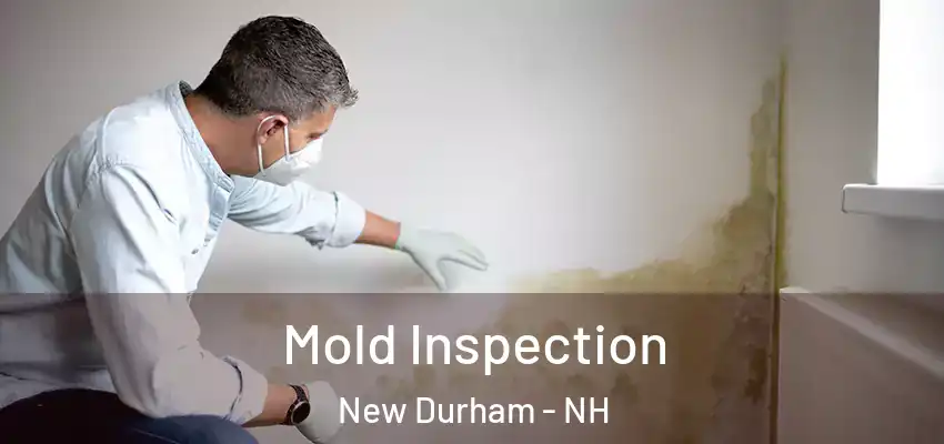 Mold Inspection New Durham - NH