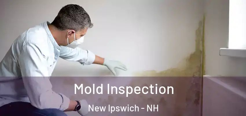  Mold Inspection New Ipswich - NH