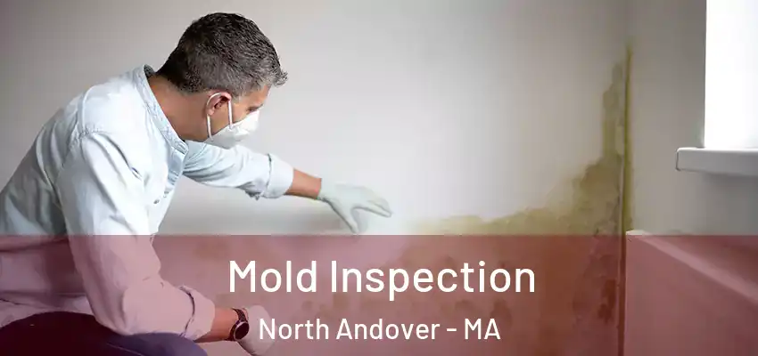 Mold Inspection North Andover - MA