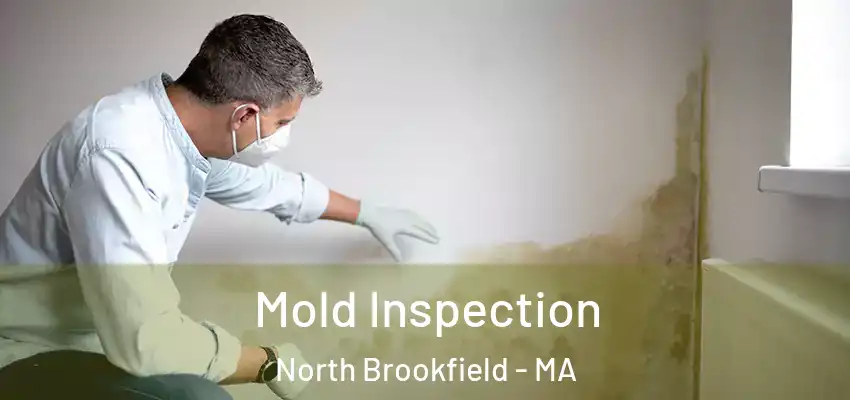 Mold Inspection North Brookfield - MA