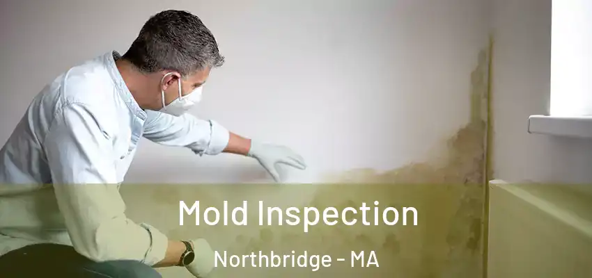 Mold Inspection Northbridge - MA