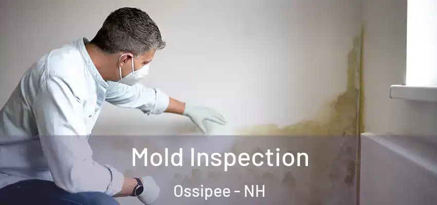  Mold Inspection Ossipee - NH