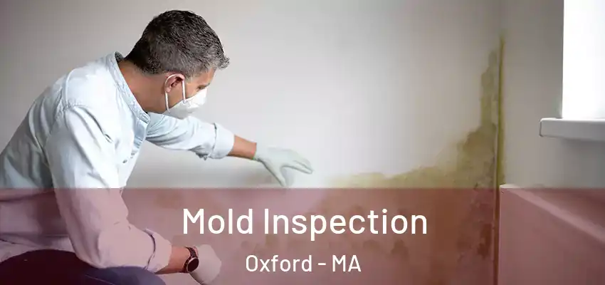  Mold Inspection Oxford - MA