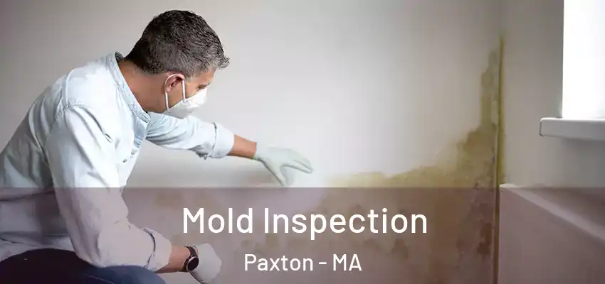 Mold Inspection Paxton - MA