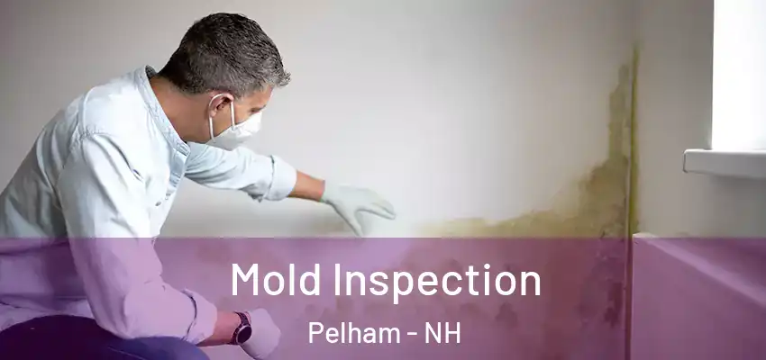 Mold Inspection Pelham - NH
