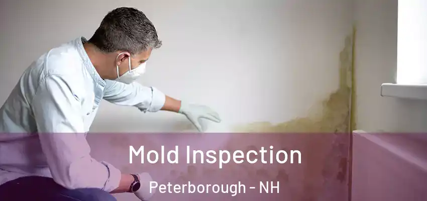 Mold Inspection Peterborough - NH